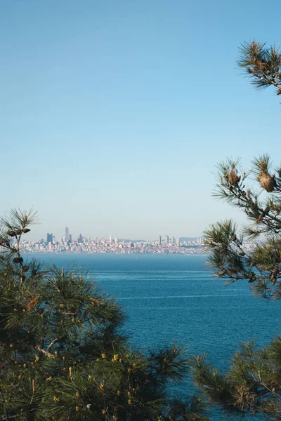 Függőleges Panoráma Isztambulra Marmara Tengerére Fenyőágakon Keresztül — Stock Fotó