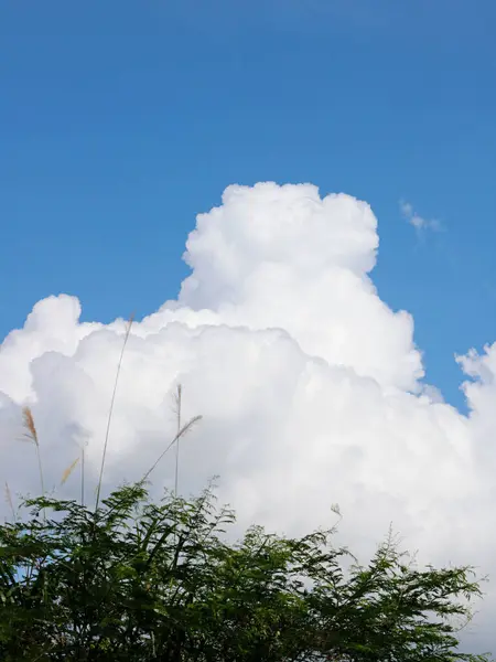 Una Hermosa Vista Del Cielo Azul Nublado —  Fotos de Stock