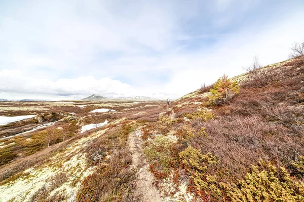 昼間の大自然の中の丘の美しいショット — ストック写真