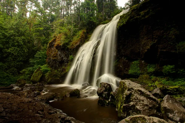 大きな岩と緑の植物の間の滝と小さな川の美しいショット木と成長 — ストック写真