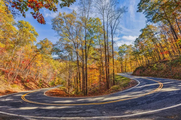 Eine Abbiegende Straße Einem Schönen Wald Herbst — Stockfoto