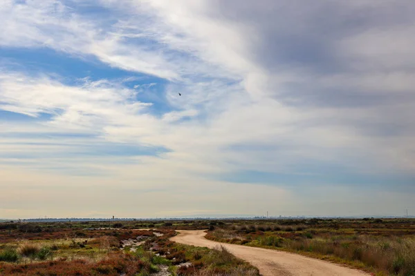 青い空と雲が頭上に広がる湿地帯を抜ける空の道 — ストック写真