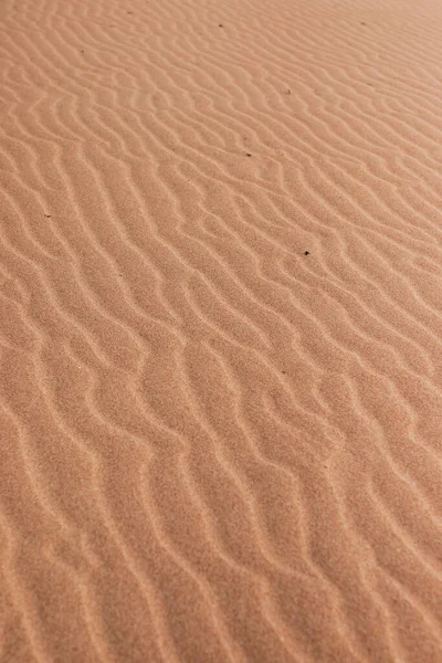 Plan Vertical Dunes Sable Brun Dans Désert — Photo