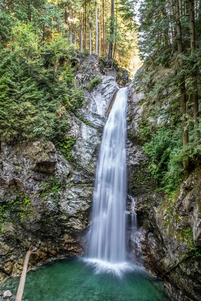 Uma Foto Vertical Das Cascade Falls Cascade Falls Regional Park — Fotografia de Stock