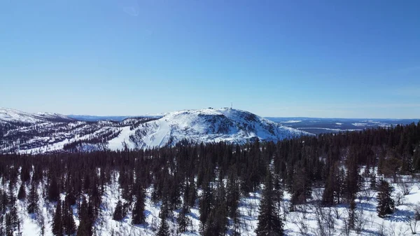 Schöne Aufnahme Eines Schneebedeckten Hügels Mitten Wald — Stockfoto