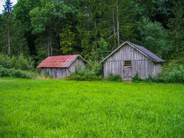 Rural Cottages Surrounded Green Vegetation — Stock Photo, Image