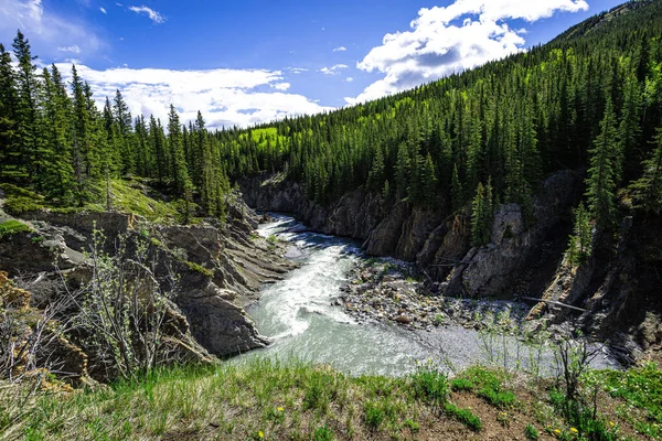 Ein Fließender Fluss Inmitten Von Klippen Mit Fichten — Stockfoto