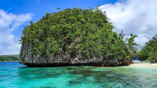 Een Prachtig Uitzicht Een Enorme Rots Met Palmbomen Een Eiland — Stockfoto