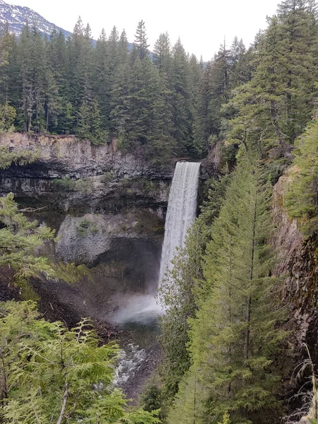 背の高い木や岩場に囲まれた森の中の巨大な滝の垂直ショット — ストック写真