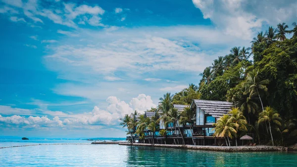 Okyanus kıyısında palmiye ağaçlarıyla çevrili güzel evler.