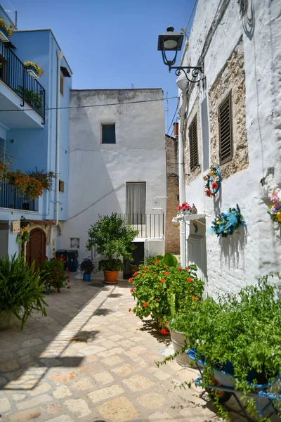 Malá Ulice Casamassima Vesnice Modrobarevnými Domy Oblasti Puglia Itálii — Stock fotografie