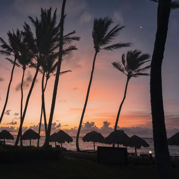 Eine Silhouette Von Palmen Strand Bei Sonnenuntergang — Stockfoto