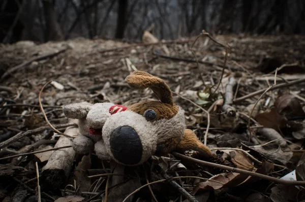 在森林里失踪的孩子的概念中 一个被忽略在地面上的旧肮脏的狗玩具的特写镜头 — 图库照片