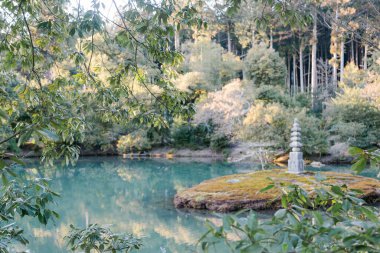 Japonya, Kyoto 'da güzel bir zen bahçesinin havadan görünüşü.