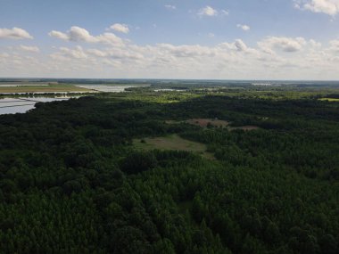 Gökyüzü manzarası yemyeşil, sık, çam ağacı ormanı ve uzak bir göl.