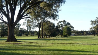 Bahçedeki yeşil çimlerin panoramik görüntüsü ve ulusal parktaki mavi gökyüzünün altındaki ağaçlar.