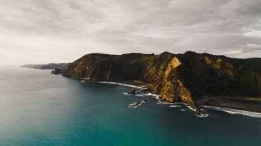 Yeni Zelanda, Auckland 'daki Muriwai sahilinin güzel bir görüntüsü.