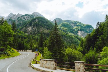 Ağaçlar ve çalılarla çevrili dağ yolunun hava manzarası.
