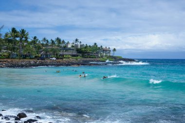 Hawaii, Kauai adasında kıyıya yakın yüzen bir grup insan.