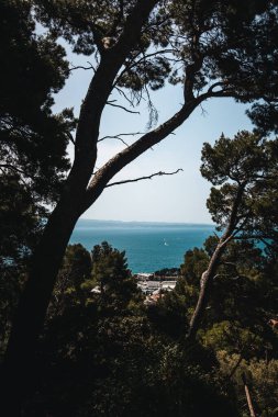 Hırvatistan 'ın Split kentinde Park Suma Marjan' ın dikey çekimi