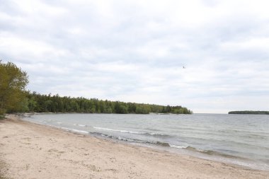 Kumlu sahilden yakalanan yeşil ağaçlarla çevrili sakin bir deniz.