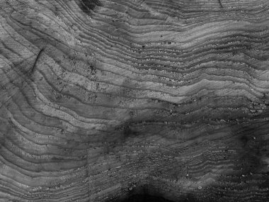 Ahşap desen dokusunun gri tonlu görüntüsü.