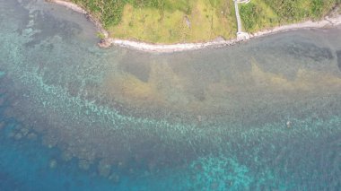 Orman ve palmiye ağaçlarıyla kıyı şeridi, lagün ve mercan resifi turkuaz su, mevsim burnu, tropikal ada ile kaplı yeşil orman, Filipinler