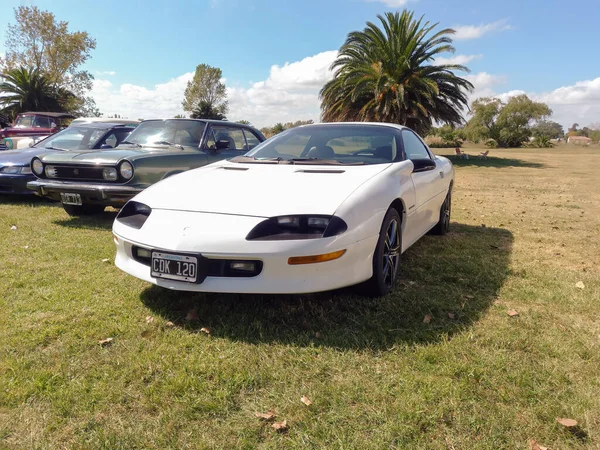 Velho Esporte Branco Chevrolet Camaro Coupe 1990 Por Campo Natureza — Fotografia de Stock