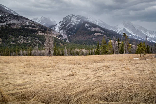 Een Veld Van Droog Gras Met Uitzicht Bergen Onder Een — Stockfoto