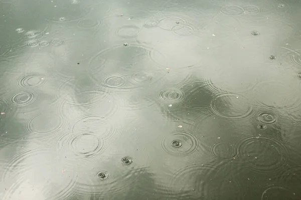 Colpo Ipnotizzante Gocce Pioggia Che Cadono Lago Durante Giorno — Foto Stock