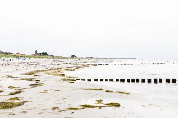 Schöne Aufnahme Einer Ostseeküste Auf Der Insel Hiddensee — Stockfoto