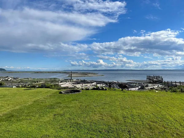 Uma Vista Panorâmica Belo Mar Atrás Parque Dia Ensolarado — Fotografia de Stock