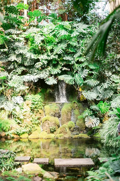 Vertical Shot Botanical Garden Frankfurt Germany — Stock Photo, Image