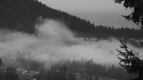 Graustufenaufnahme Von Nebel Auf Pflanzenhügeln Hintergrund Unter Grauem Himmel — Stockfoto