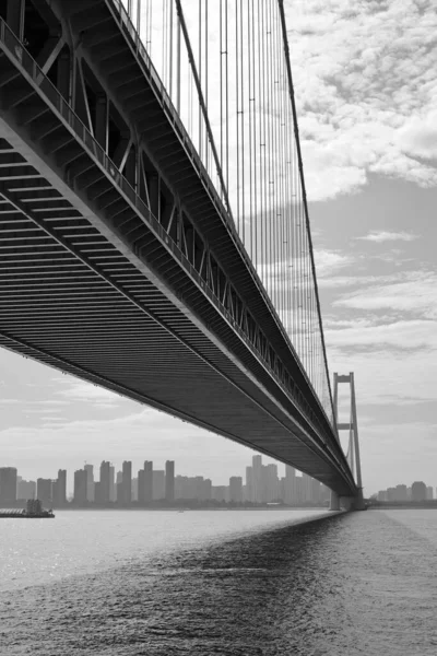 Grayscale Low Angle Shot Golden Gate Bridge San Francisco Bay — Stock Photo, Image