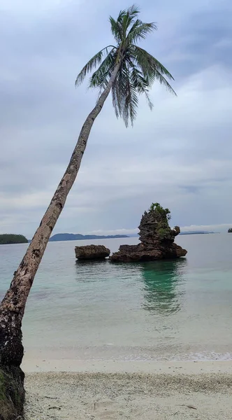 Filipinler Bir Adada Kumlu Bir Sahilde Bir Palmiye Ağacının Dikey — Stok fotoğraf