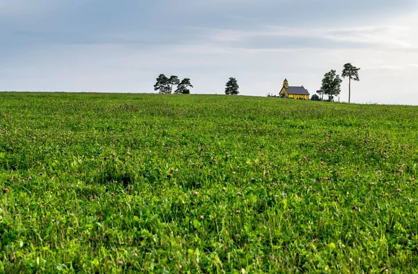 Una Hermosa Vista Del Paisaje Con Hierba Verde Edificio Amarillo — Foto de Stock
