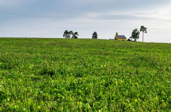 Uma Bela Vista Paisagem Com Grama Verde Edifício Amarelo Fundo — Fotografia de Stock