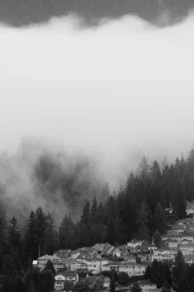 Ranní Mlhavá Krajina Domy Hustými Stromy — Stock fotografie