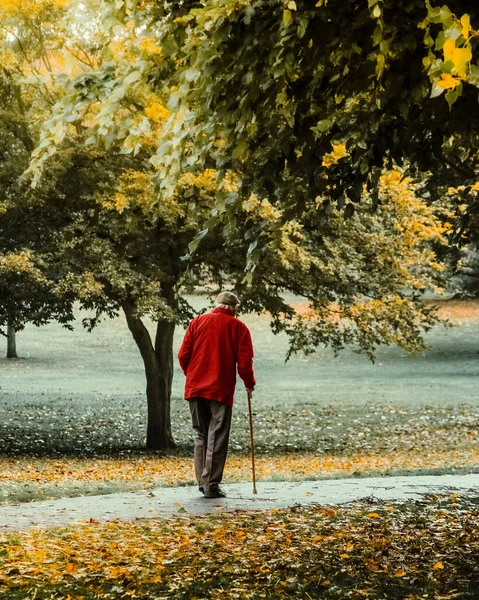Een Verticaal Schot Van Een Oude Man Lopend Het Park — Stockfoto