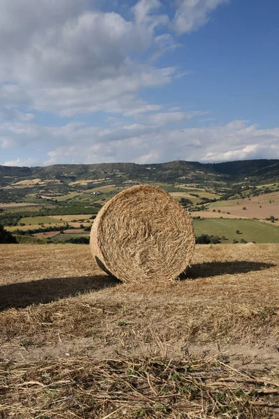 Talya Nın Ragusa Eyaletinde Sicilya Kırsalında Ekilmiş Bir Tarla — Stok fotoğraf