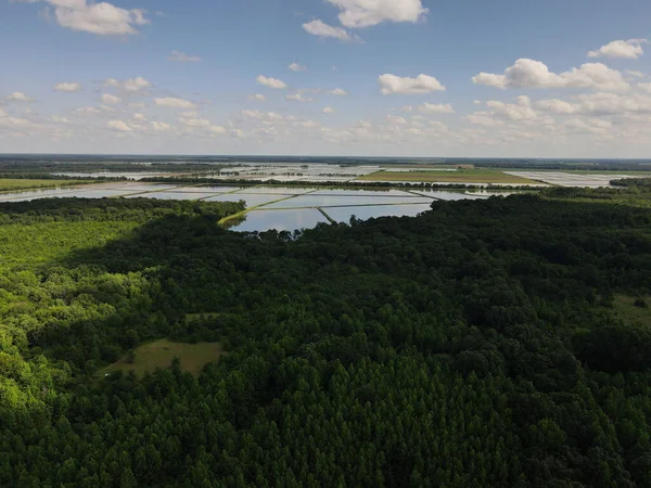 Veduta Aerea Paesaggio Verde Con Alberi Con Lago Sullo Sfondo — Foto Stock