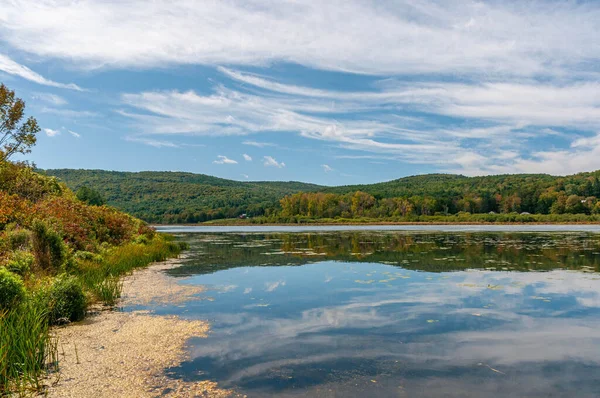 Ein Schöner Blick Auf Den Grünen See Umgeben Von Dichten — Stockfoto