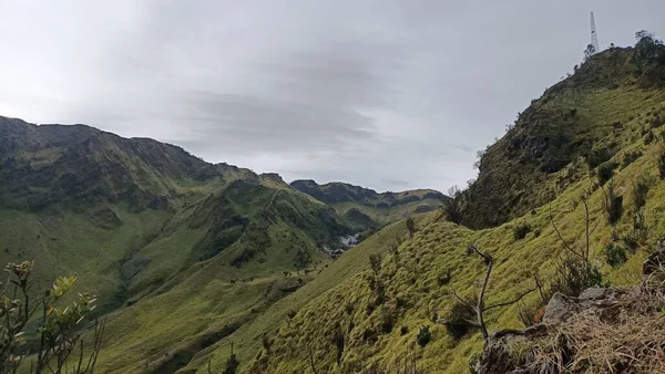 Een Prachtig Uitzicht Bergen Wildernis Bedekt Met Groen Gras Een — Stockfoto