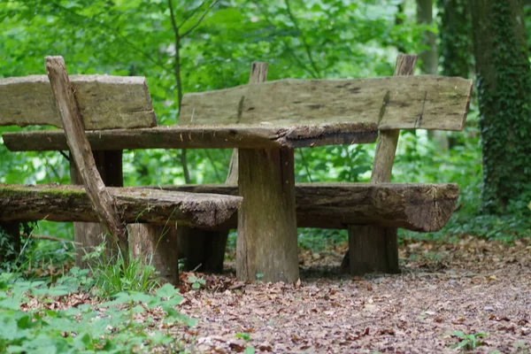 手作りの木のベンチと緑の森のテーブルの景色 — ストック写真