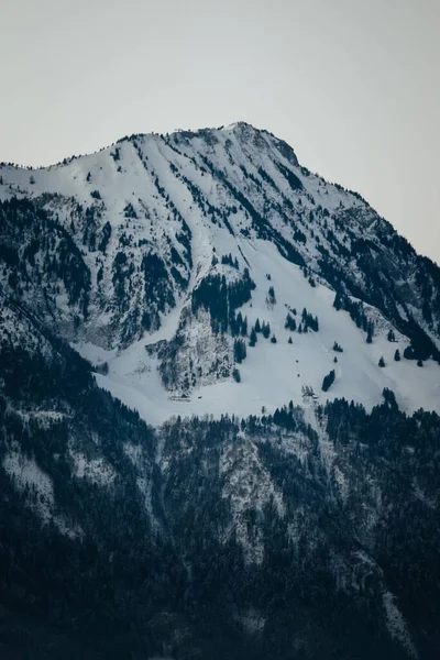 Ein Schöner Blick Auf Schneekappen Felsigen Bergen Auf Klaren Himmel — Stockfoto