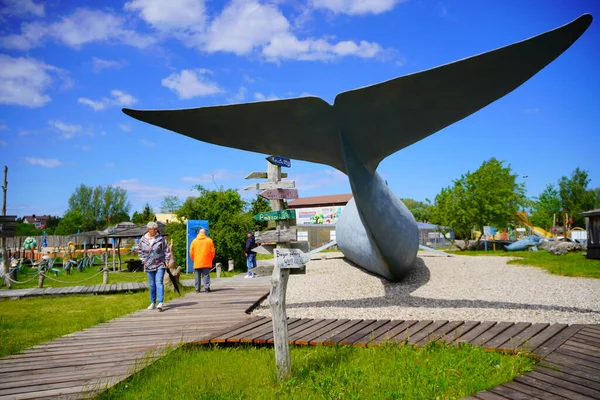 Tail Large Real Life Blue Whale Model Park Wieloryba — Stock Photo, Image