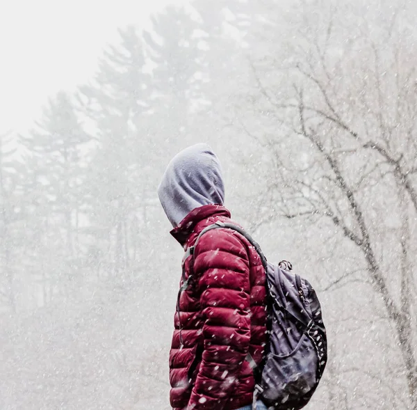 在多雾的雪天里 一个身穿外套的人从后面看树木 — 图库照片