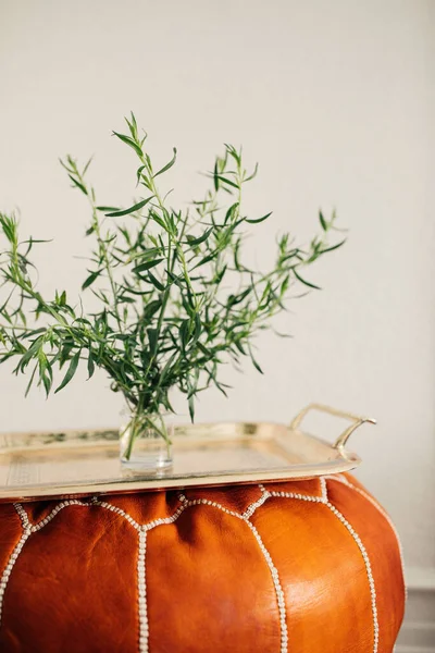 Erba Dragoncello Vaso Vassoio Pouf Marocchino Hassock — Foto Stock