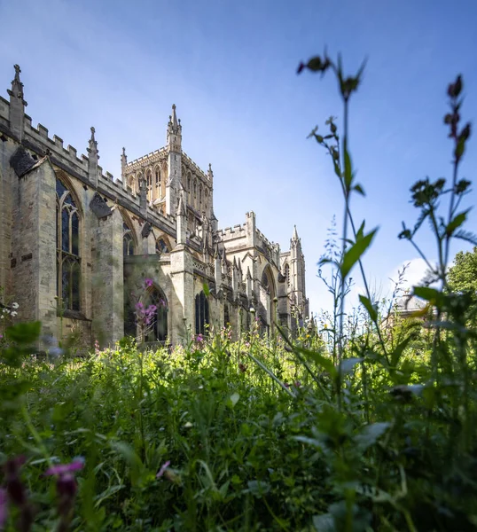 Niski Kąt Ujęcia Bristol Cathedral Bristolu Anglia Świeżymi Zielonymi Roślinami — Zdjęcie stockowe
